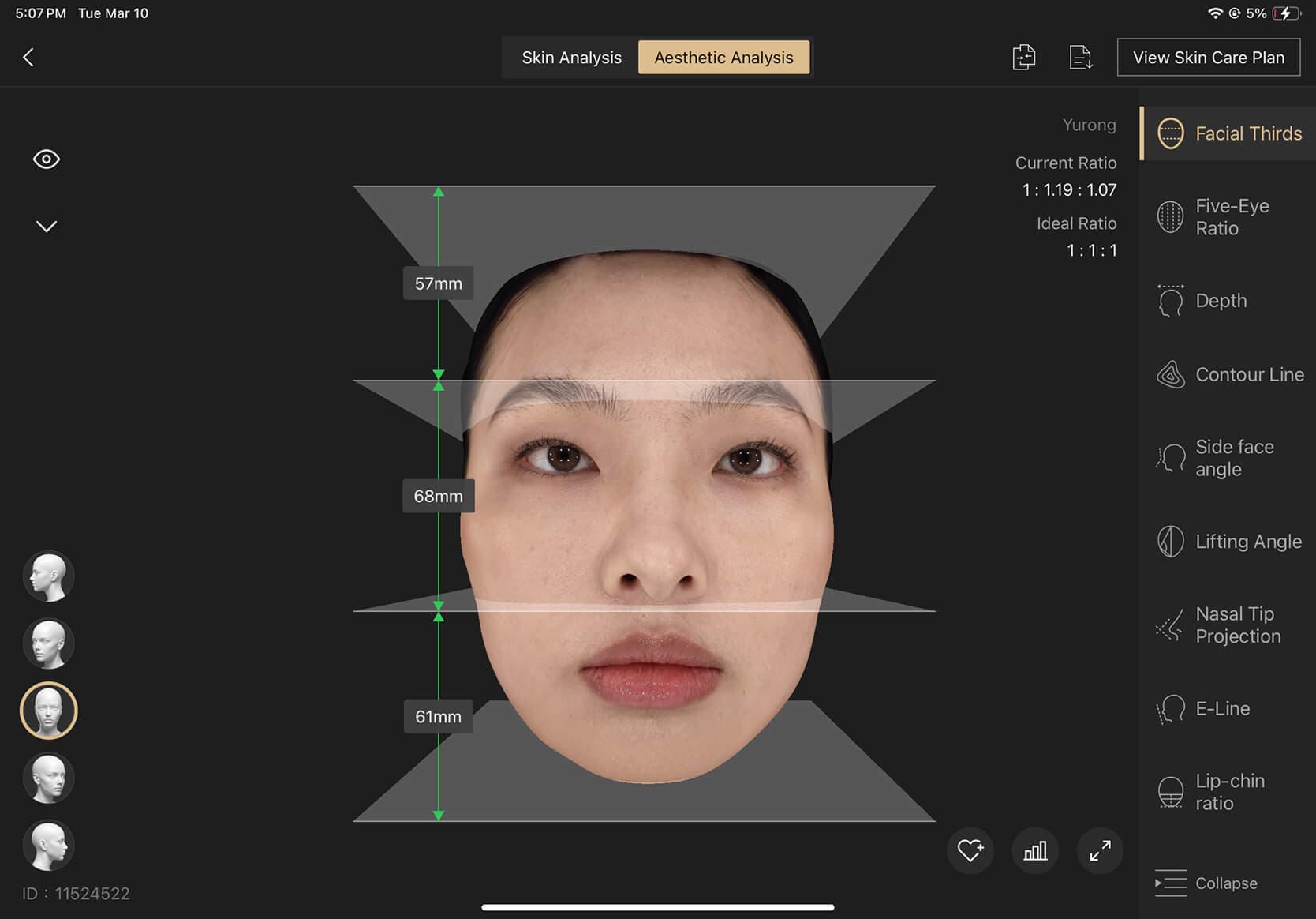 Golden Ratio Overlay visualization